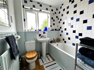 Picture 20
